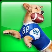 Dog Football app icon