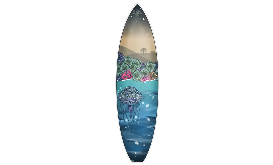 Surfboard graphics, image 1 of 3